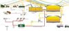 Diagramm - gesamter Ablaufprozess
